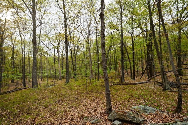 7 Springhouse Rd, Sloatsburg, NY 10974 - photo 7