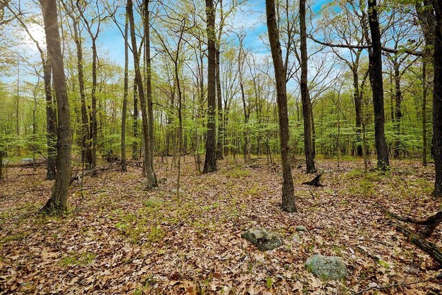 7 Springhouse Rd, Sloatsburg, NY 10974 - photo 8