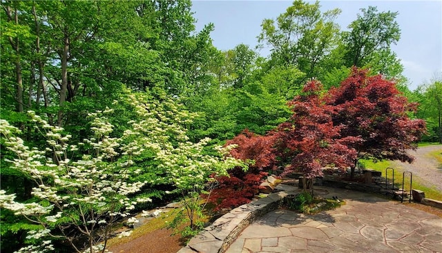 view of yard with a patio