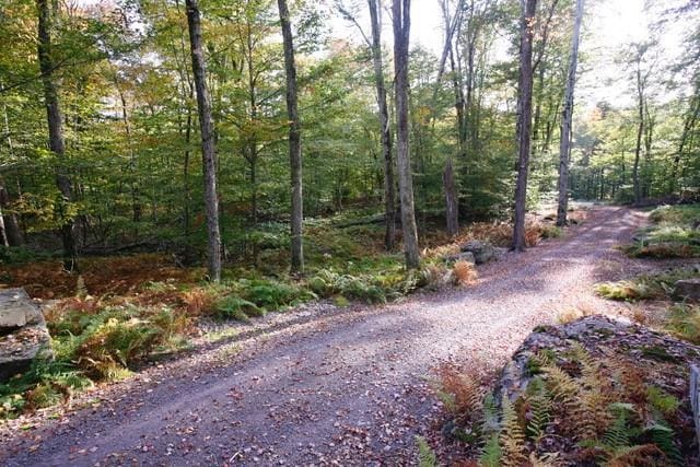 97 Homestead Trl, White Lake, NY 12786 - photo 3
