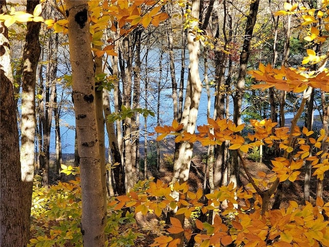 view of landscape