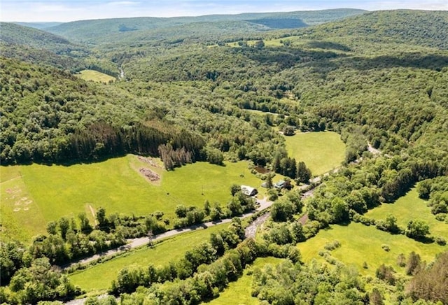 aerial view with a mountain view