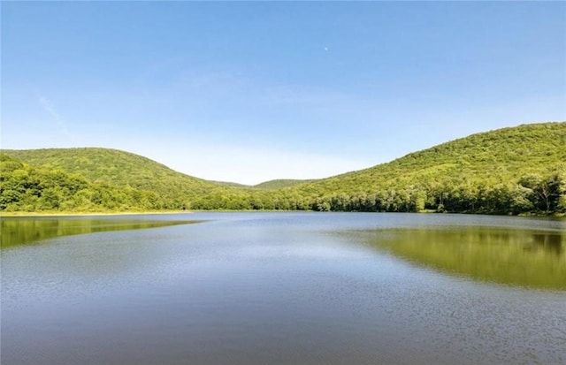 water view with a mountain view