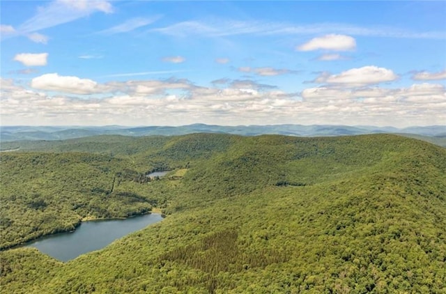 mountain view featuring a water view