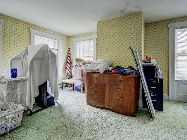 interior space with light carpet and plenty of natural light