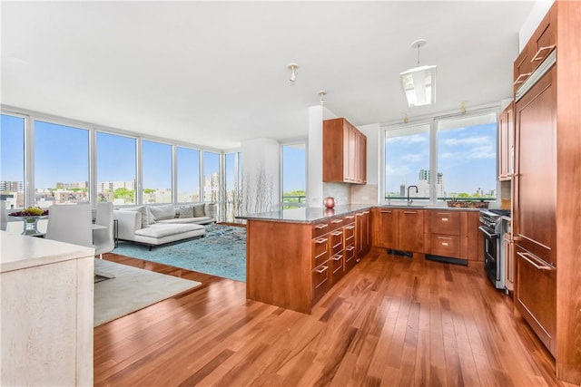 kitchen featuring hardwood / wood-style flooring, premium appliances, a healthy amount of sunlight, and kitchen peninsula