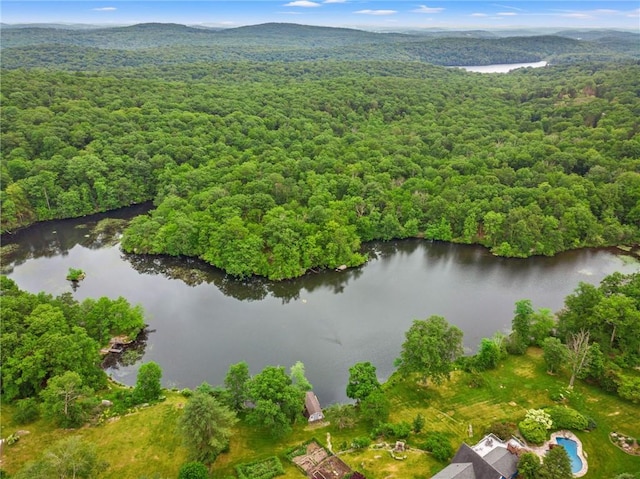 Gipsy Trail Rd, Carmel, NY 10512 - photo 4