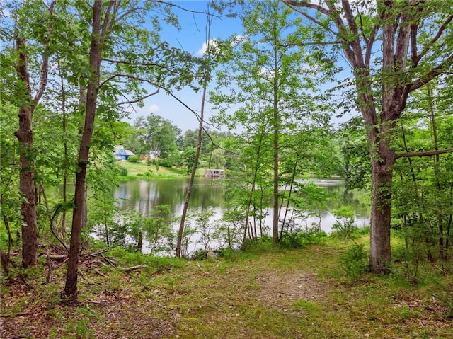 Gipsy Trail Rd, Carmel, NY 10512 - photo 5