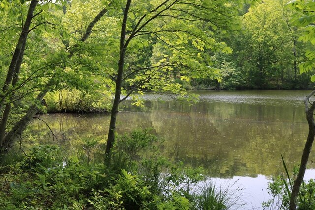 Gipsy Trail Rd, Carmel, NY 10512 - photo 6