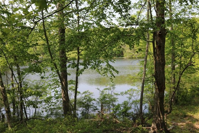 Gipsy Trail Rd, Carmel, NY 10512 - photo 7