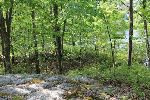 Gipsy Trail Rd, Carmel, NY 10512 - photo 8
