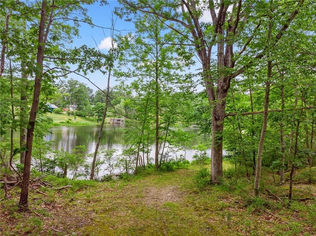 Gipsy Trail Rd, Carmel, NY 10512 - photo 9
