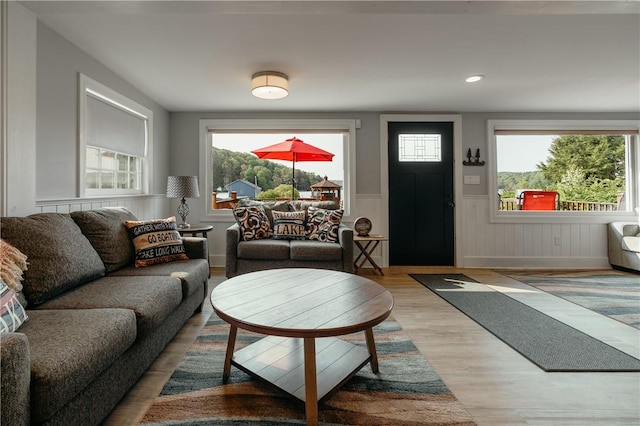 living room featuring light hardwood / wood-style floors