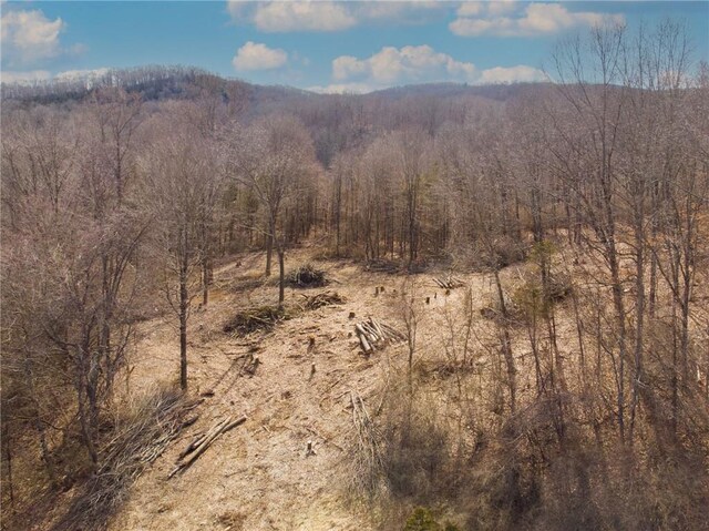 29 Marble Ln, Pawling, NY 12564 - photo 10