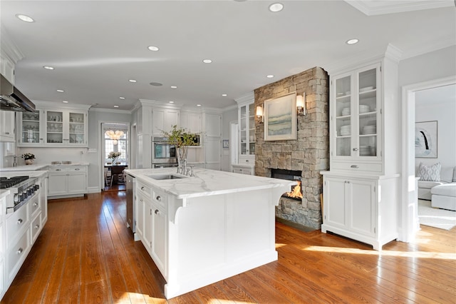 kitchen with sink, white cabinetry, stainless steel appliances, an island with sink, and a stone fireplace