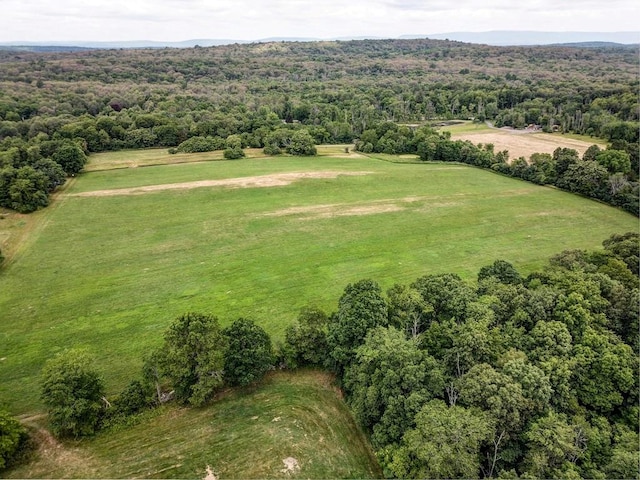 drone / aerial view featuring a rural view