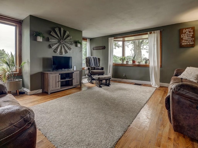 living room with light hardwood / wood-style flooring