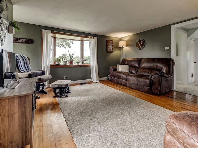 living room featuring hardwood / wood-style floors