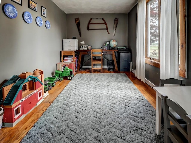 recreation room with hardwood / wood-style floors