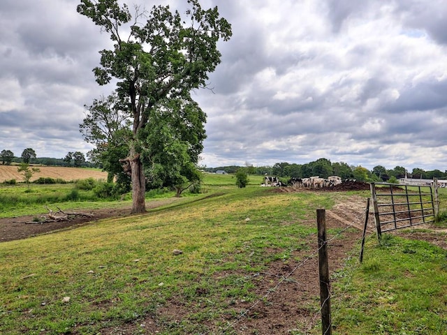 view of yard featuring a rural view