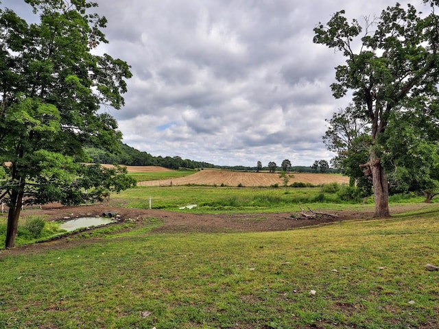 view of yard featuring a rural view