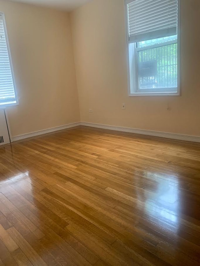 spare room with a healthy amount of sunlight and light hardwood / wood-style floors