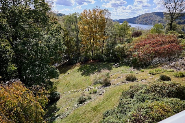 view of mountain feature featuring a water view