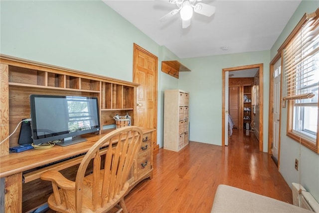 office area featuring ceiling fan, light hardwood / wood-style flooring, and radiator heating unit