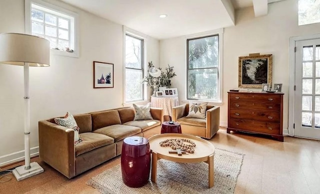 sitting room with light hardwood / wood-style flooring and a healthy amount of sunlight