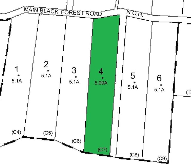 163 Black Forest Rd, Glen Spey NY, 12737 land for sale