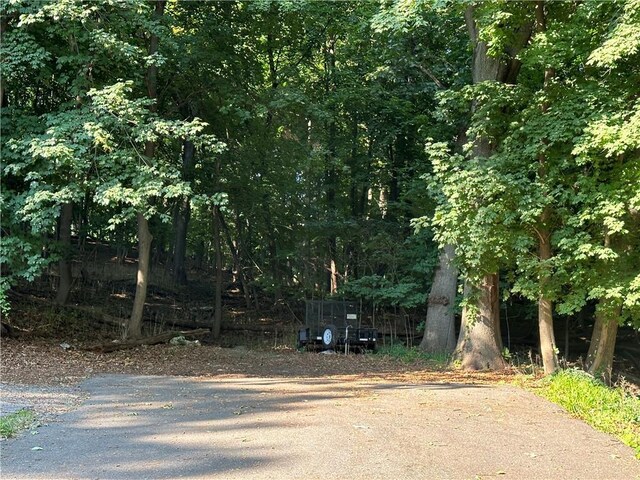 10-13-75 Dickinson Ave, Yonkers, NY 10703 - photo 3