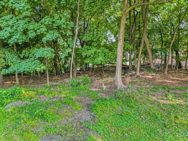 10-13-75 Dickinson Ave, Yonkers, NY 10703 - photo 17