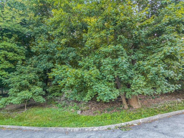 10-13-75 Dickinson Ave, Yonkers, NY 10703 - photo 23