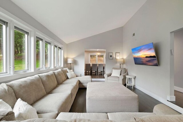 living room featuring dark hardwood / wood-style flooring and high vaulted ceiling