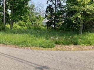 Maple Ave, Fishkill NY, 12524 land for sale