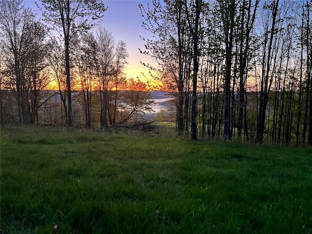 view of nature at dusk