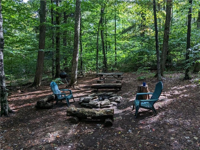 view of yard with an outdoor fire pit