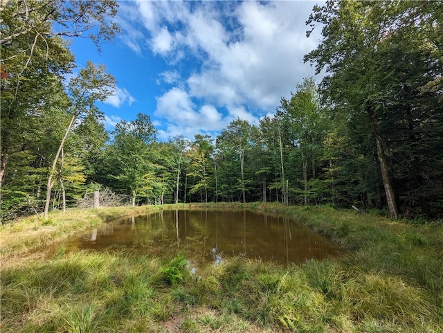 view of landscape with a water view