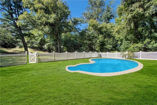 view of pool featuring a lawn