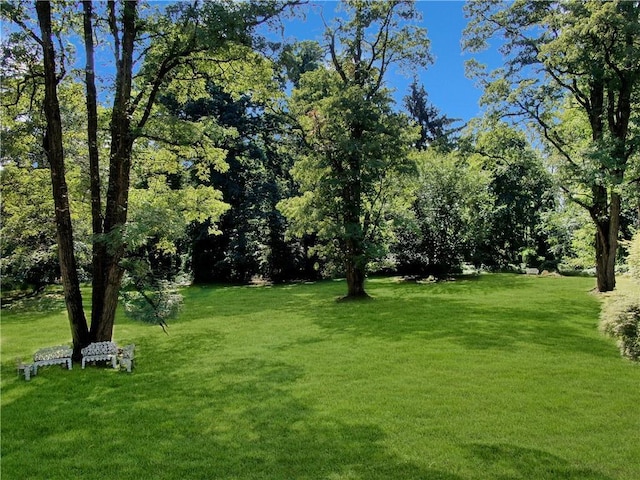 4 Deer Run, Sparkill, NY 10976 - view of grassy yard