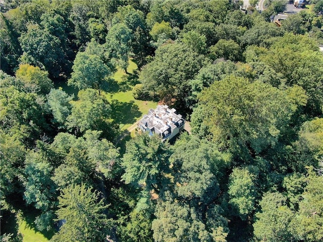 4 Deer Run, Sparkill, NY 10976 - aerial view of property's location featuring a heavily wooded area