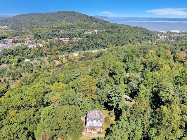 4 Deer Run, Sparkill, NY 10976 - view of property location featuring a forest and a mountainous background