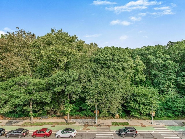 6535 Broadway Unit 2E, Bronx, NY 10471 - view of tree filled area