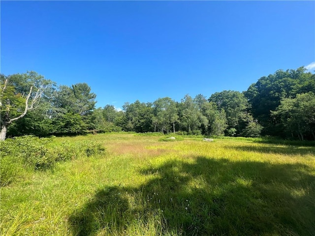 909 Debruce Rd, Livingston Manor, NY 12758 - photo 5