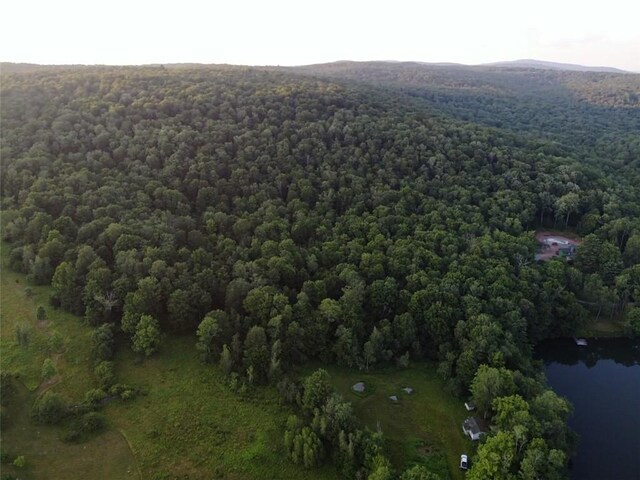 909 Debruce Rd, Livingston Manor, NY 12758 - photo 6
