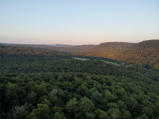 909 Debruce Rd, Livingston Manor, NY 12758 - photo 8