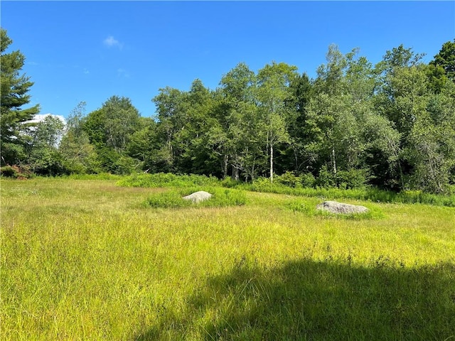 view of local wilderness