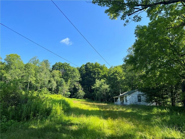 909 Debruce Rd, Livingston Manor, NY 12758 - photo 13