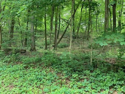 Creek Rd, Pleasant Valley NY, 12569 land for sale