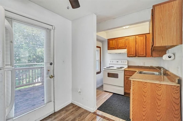 kitchen with baseboards, electric stove, light wood-type flooring, under cabinet range hood, and a sink